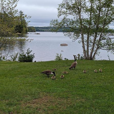 Alamoosook Lakeside Inn Orland Extérieur photo